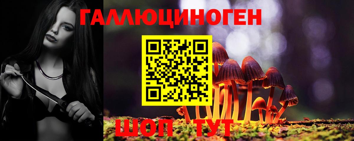 наркошоп  Галлюциногенные грибы MAGIC MUSHROOMS  Вход с VPN  Тосно 